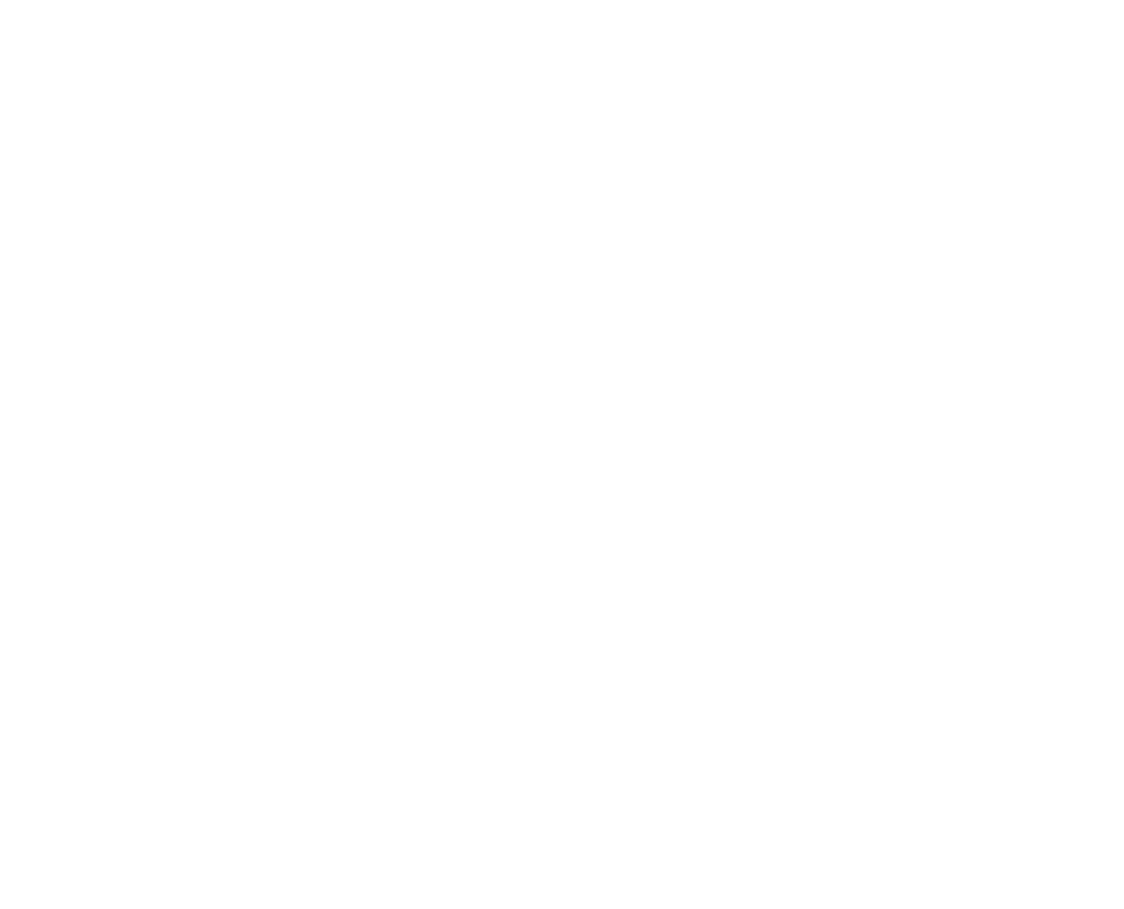 SAAS PARTNERS